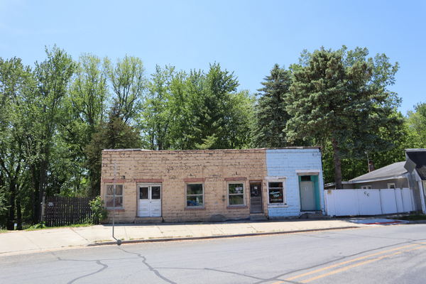 Muir - May 2021 Photo (newer photo)